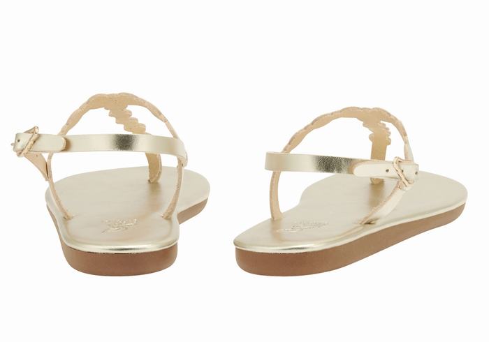 Sandales Bride Arrière Ancient Greek Sandals Velos Flip Flop   | JAZ-8406889